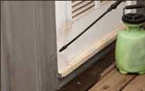 Termite Treatments and Repairs